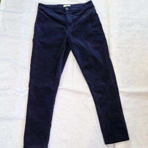 EUC Navy Forever 21 Velvet Ankle Length Skinny Pants, L